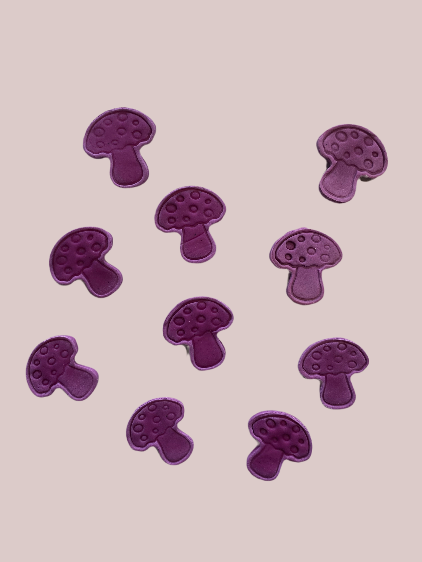 Shroom Bikkies