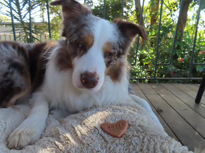 Pink Name Heart Bikkies
