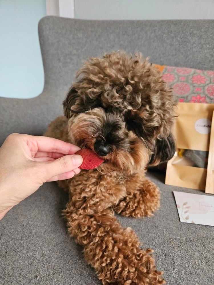 Autumn Leaves Bikkies