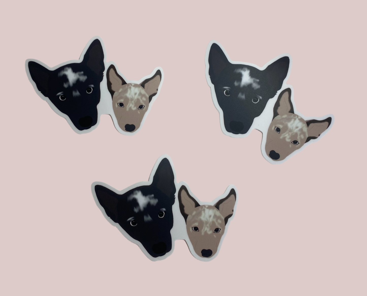 Pet Portrait Stickers