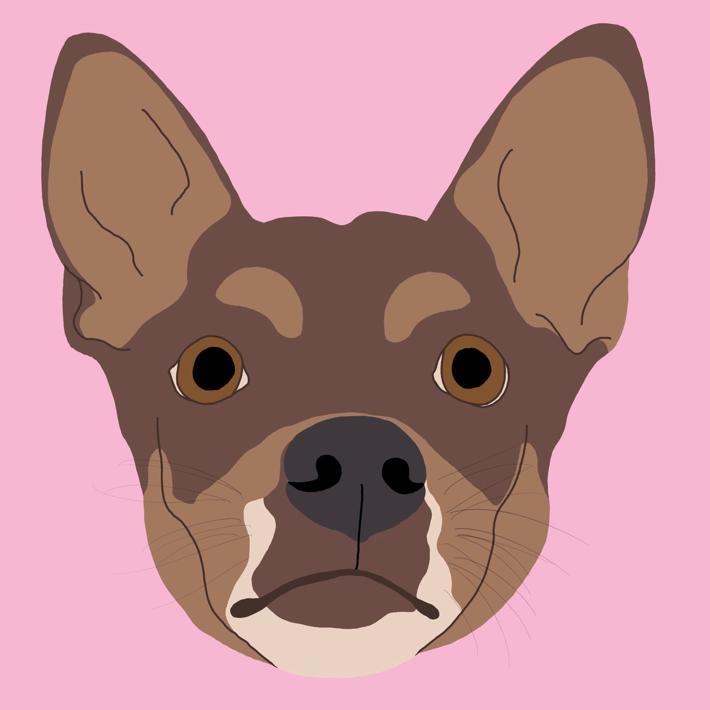 Coloured Pet Portrait