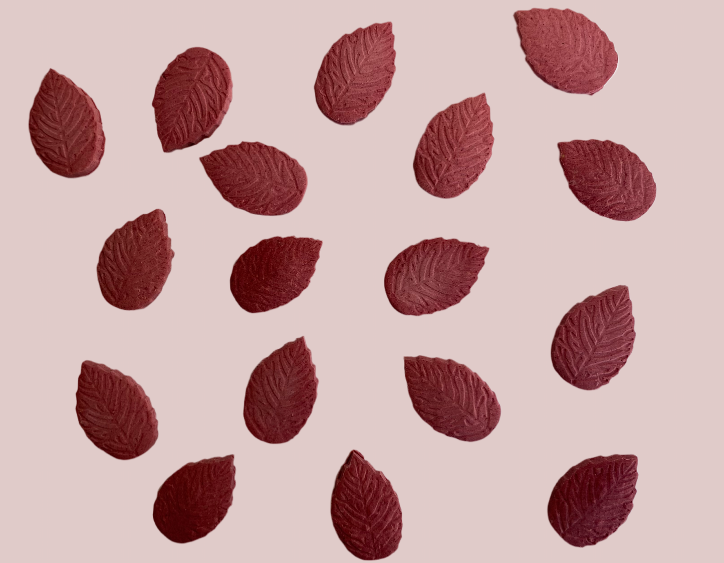 Autumn Leaves Bikkies