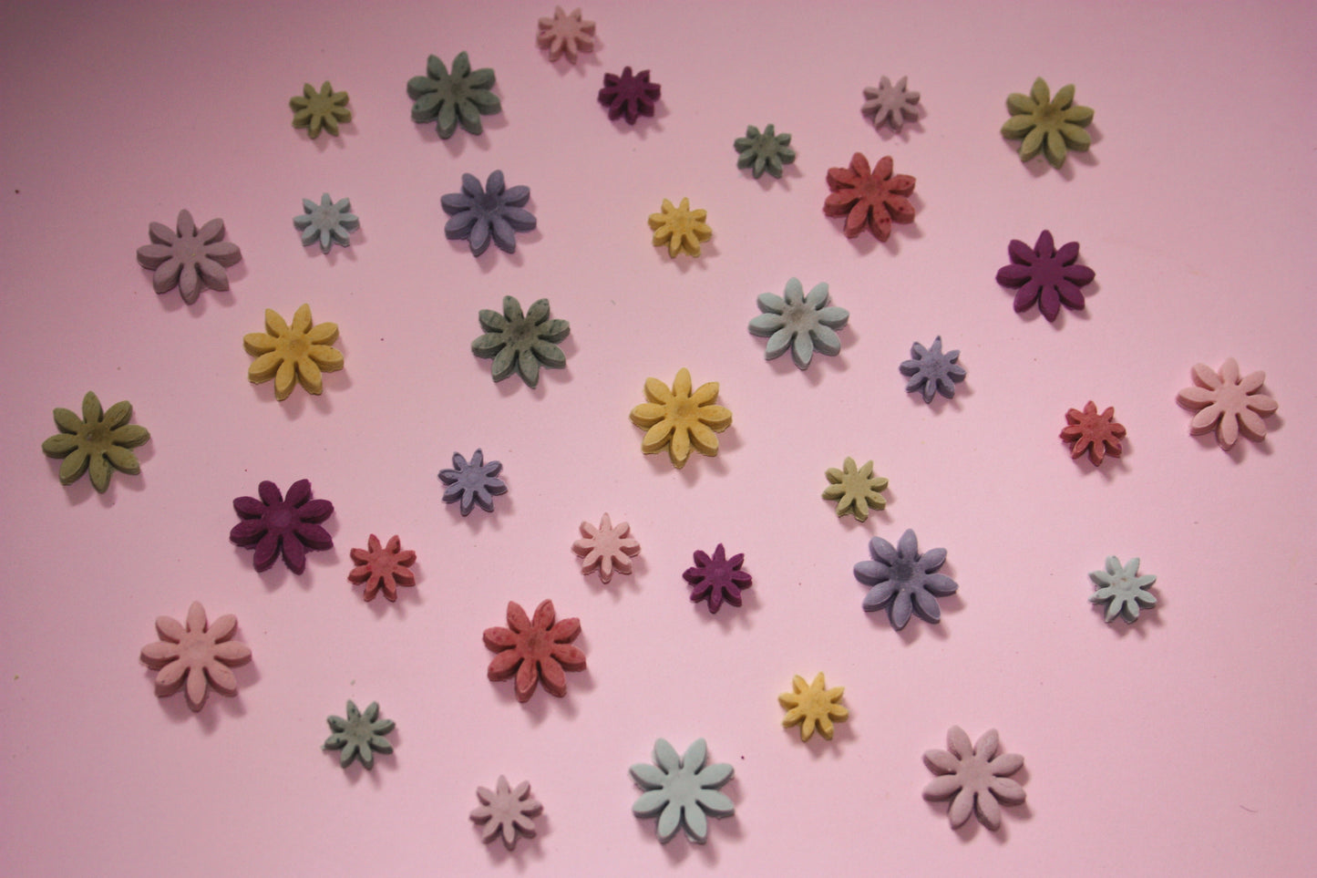 Bunch Of Flowers Bikkies