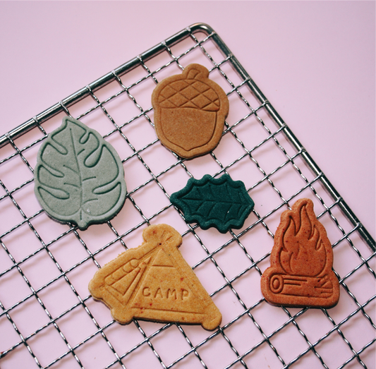 Wilderness Bikkies