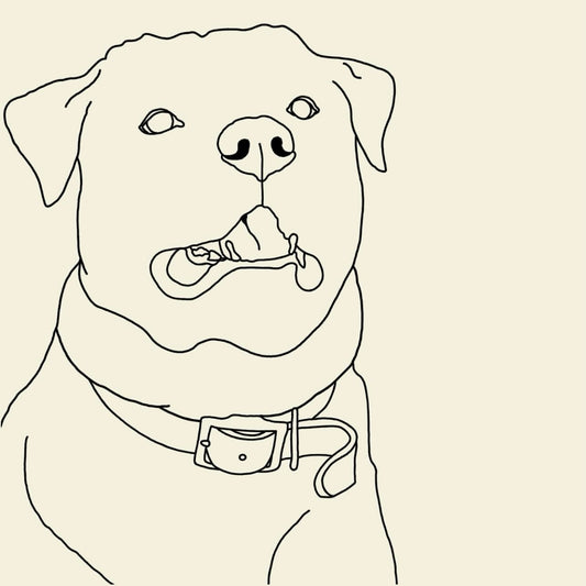 Digital Pet Pawtrait