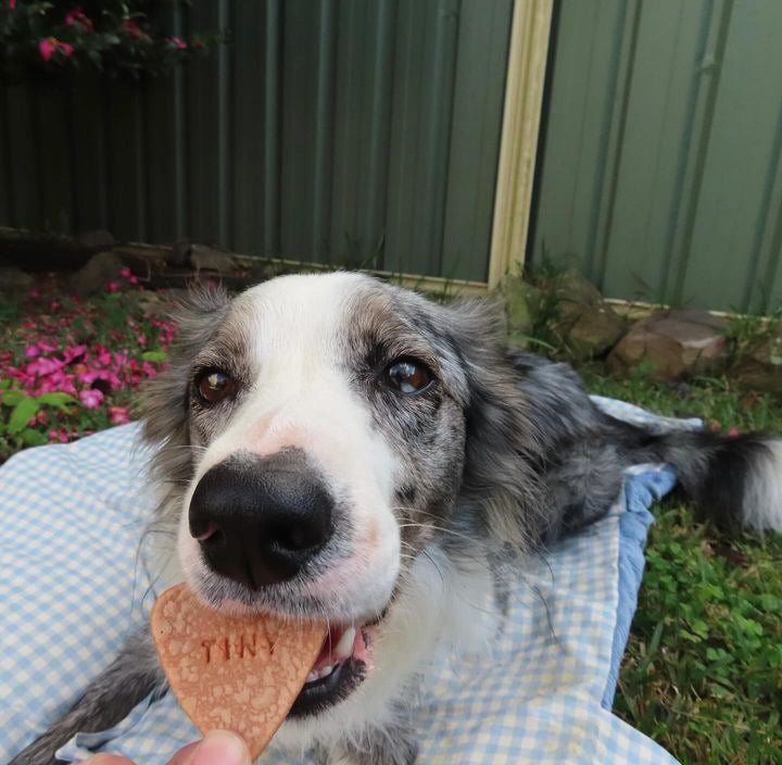 Pink Name Heart Bikkies