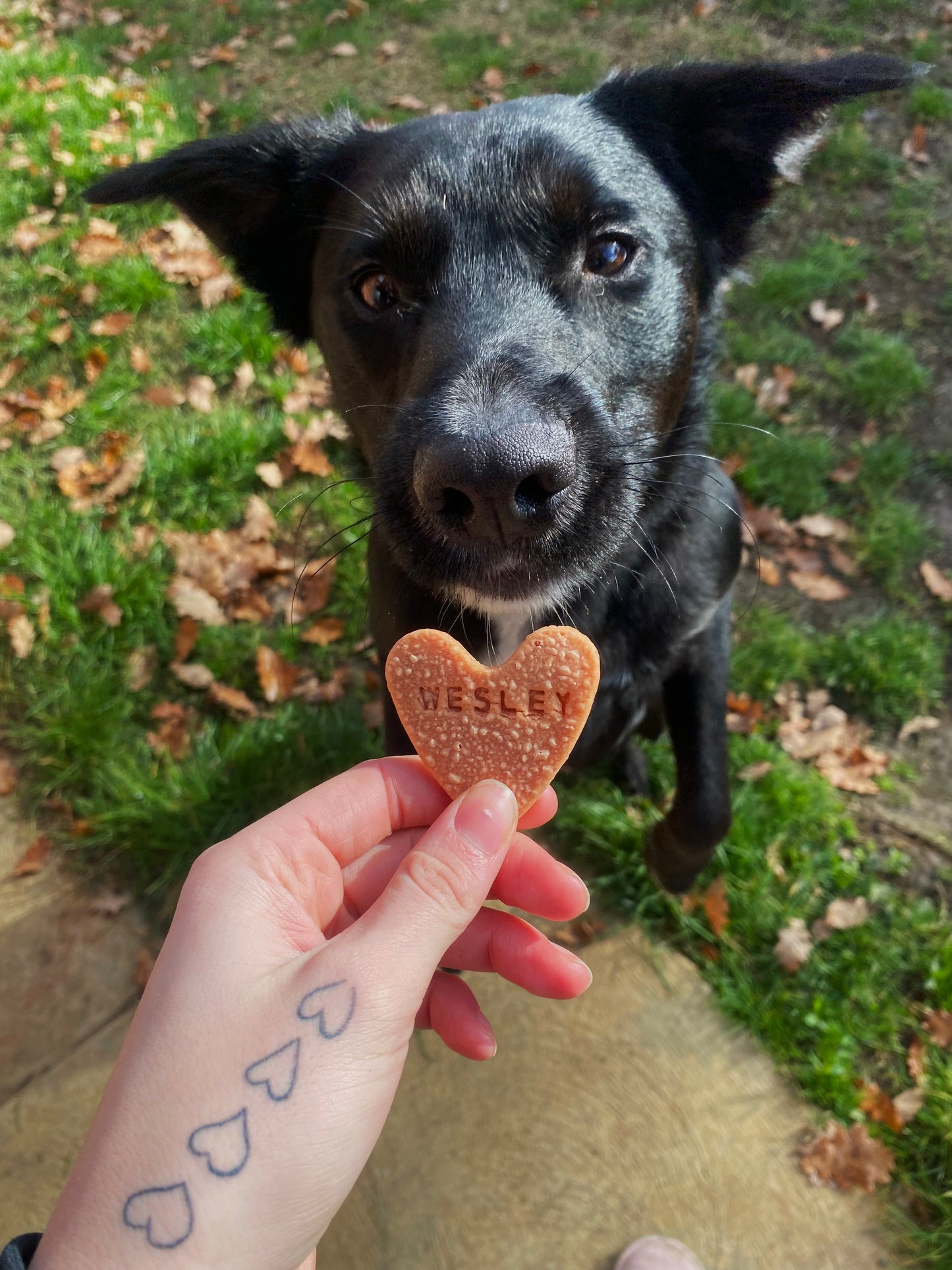 Pink Name Heart Bikkies