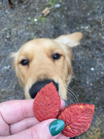 Autumn Leaves Bikkies
