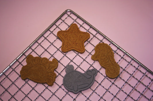 Under The Sea Bikkies
