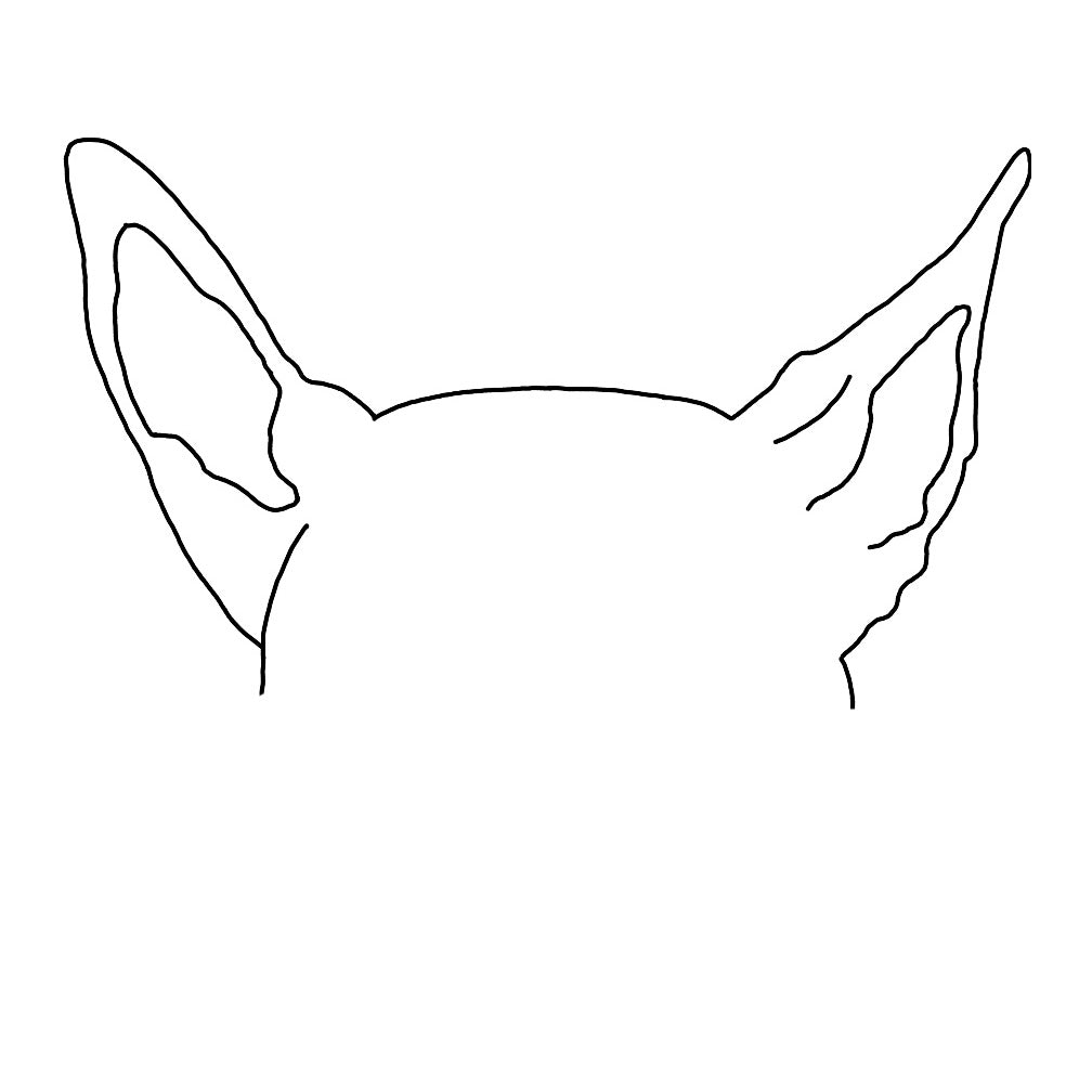 Pet Ear Portrait