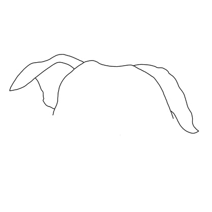 Pet Ear Portrait