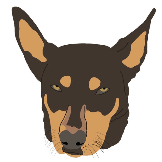 Coloured Pet Portrait