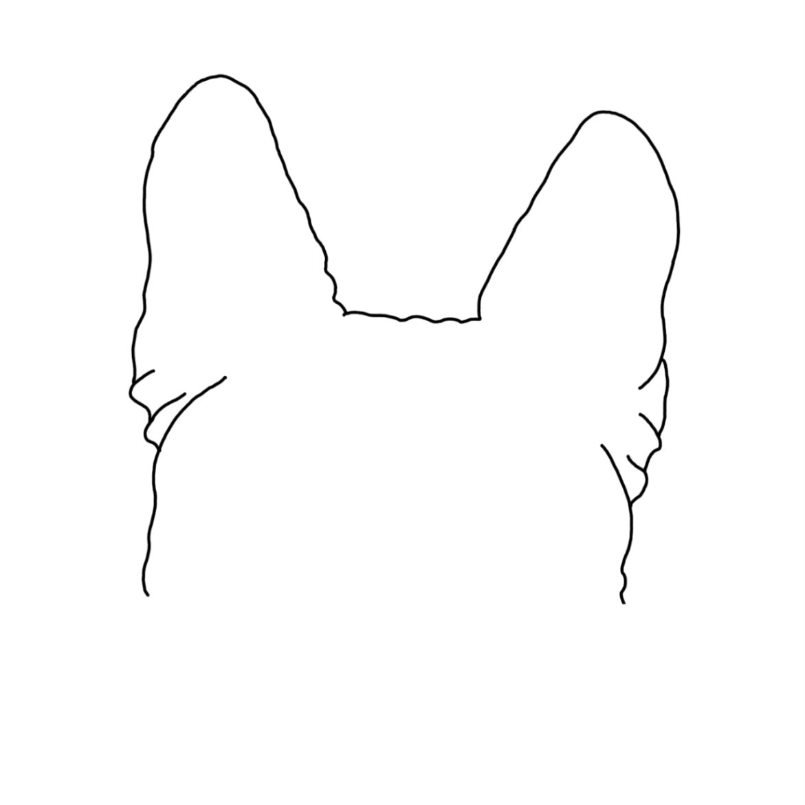 Pet Ear Portrait