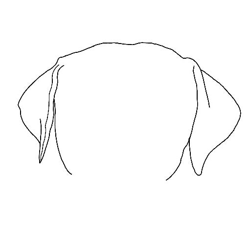 Pet Ear Portrait