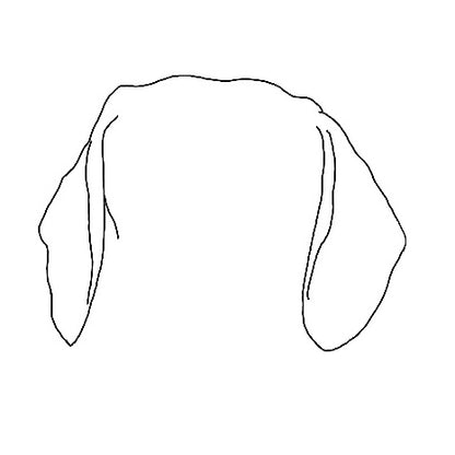 Pet Ear Portrait