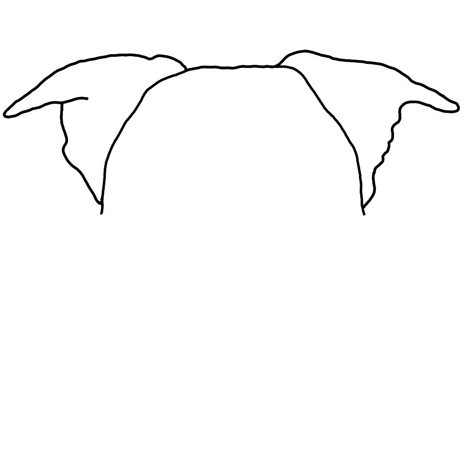 Pet Ear Portrait