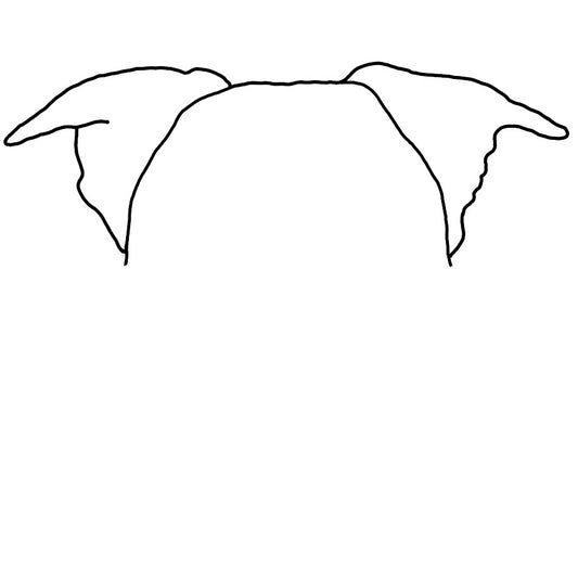 Pet Ear Portrait