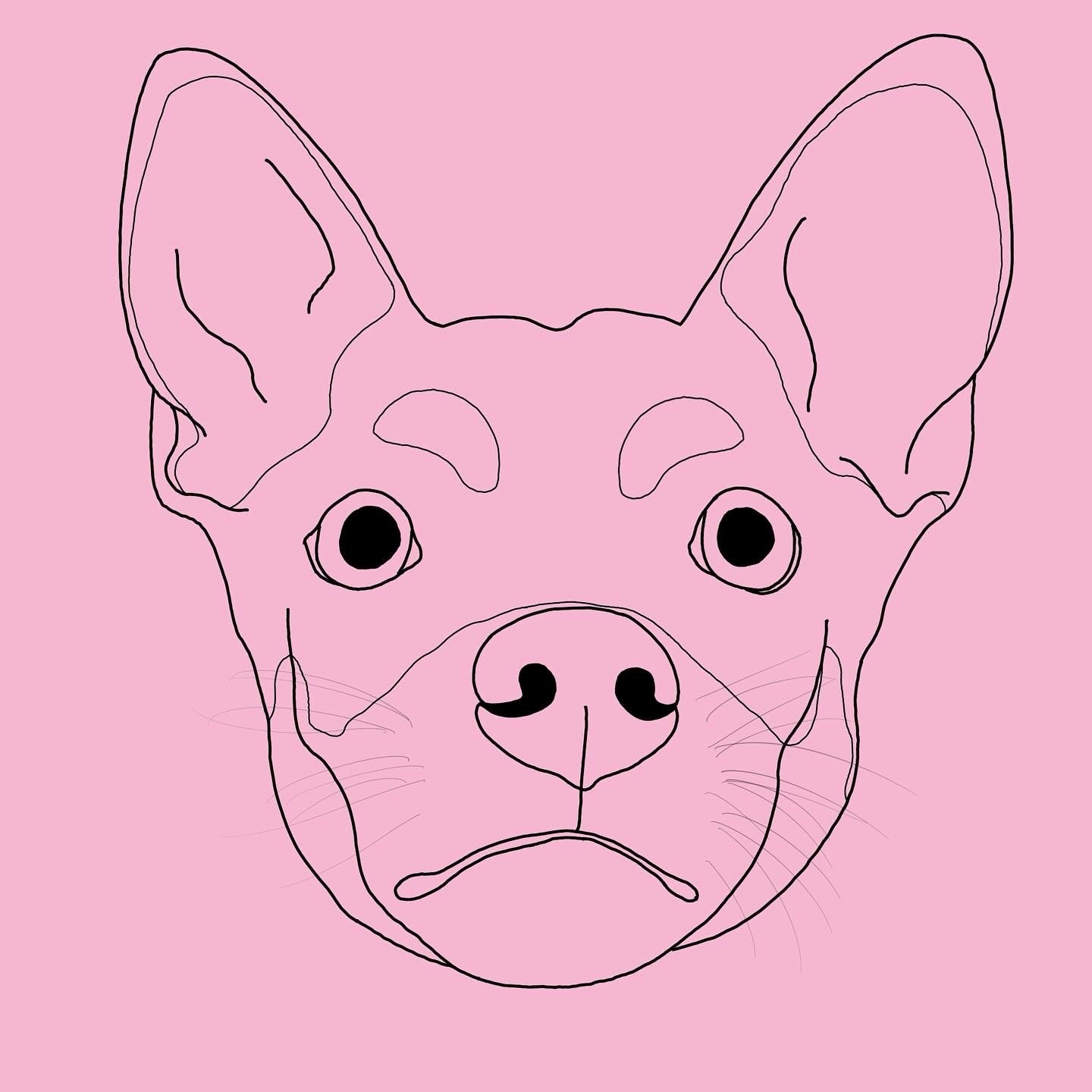 Digital Pet Pawtrait