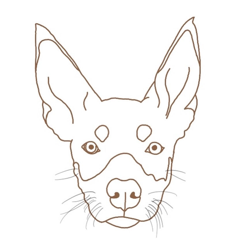 Digital Pet Pawtrait