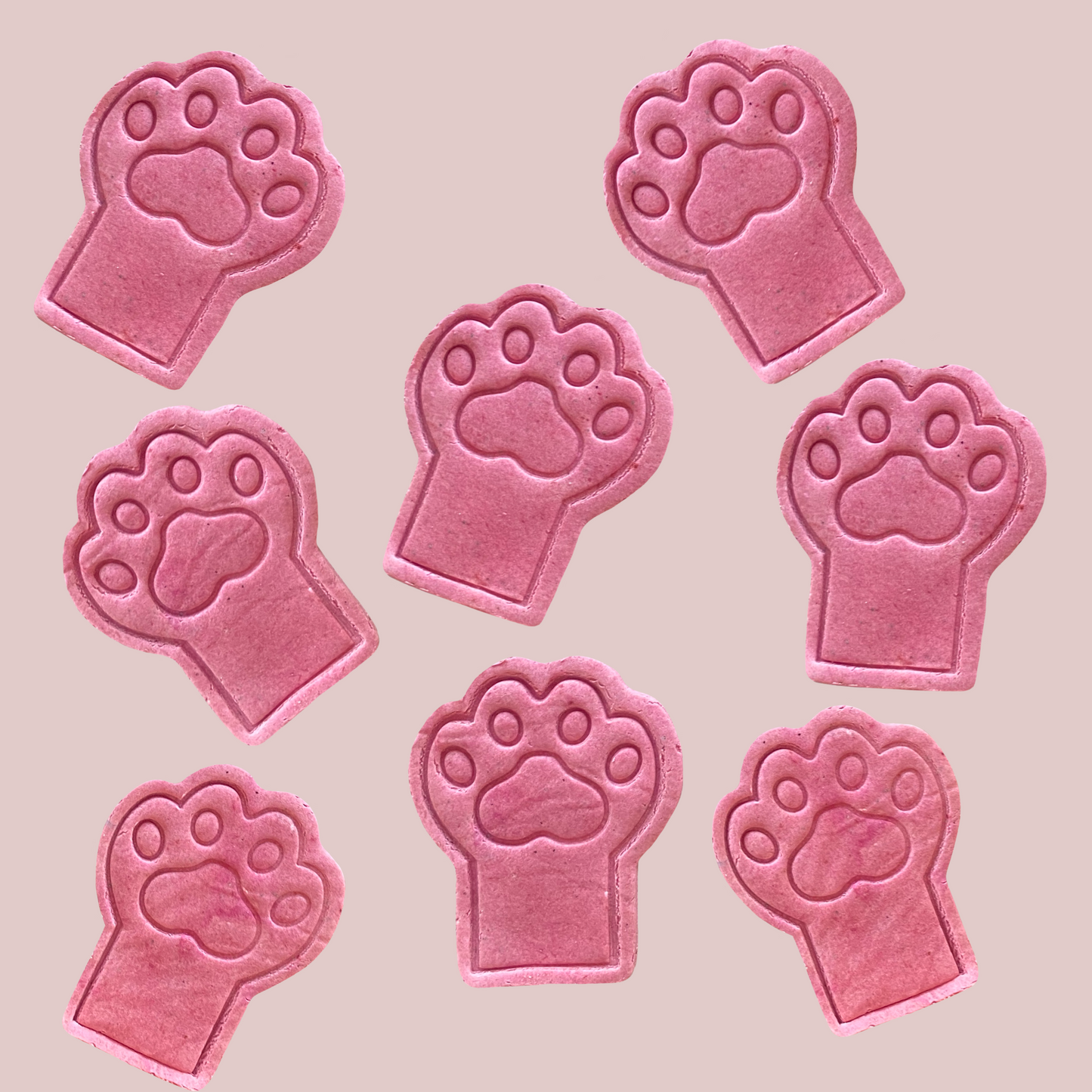 Pretty Paws