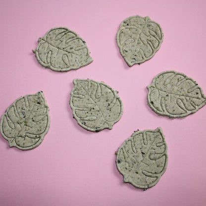 Leafy Greens Bikkies