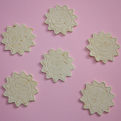 You’re My Sunshine Bikkies
