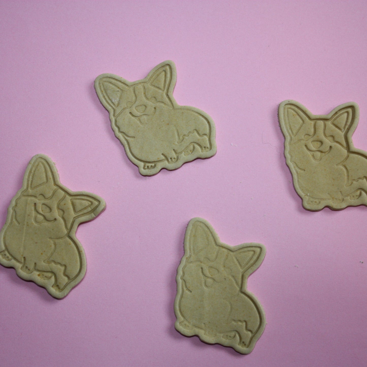 Corgi Dog Bikkies