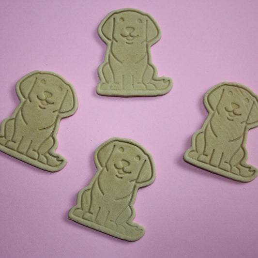 Retriever Dog Bikkies